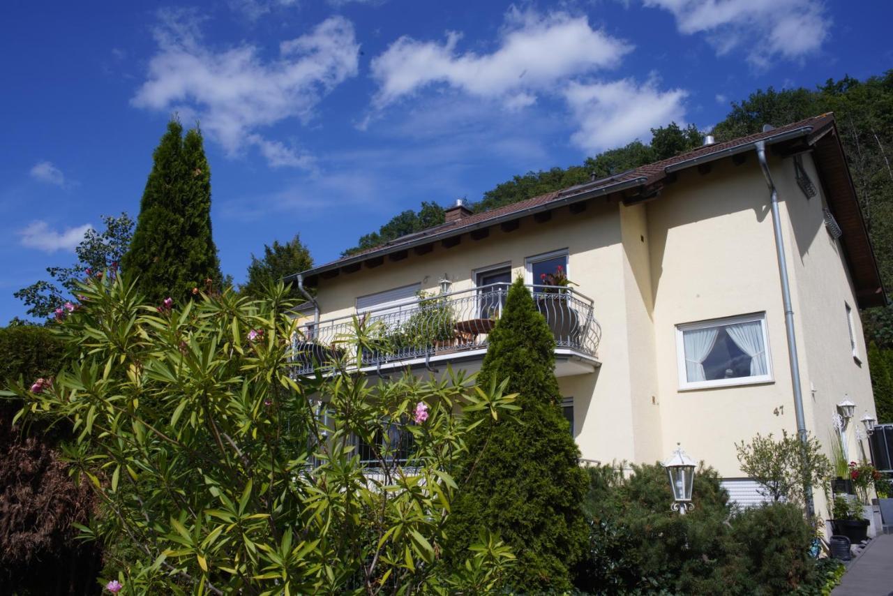 Ferienwohnung Ahrtalblick زينتسيغ المظهر الخارجي الصورة