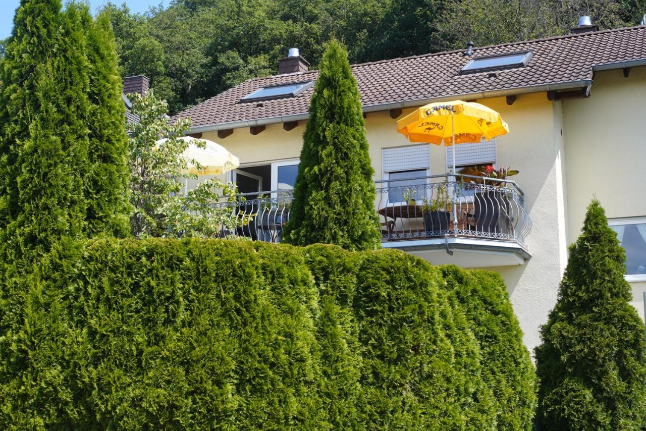 Ferienwohnung Ahrtalblick زينتسيغ المظهر الخارجي الصورة