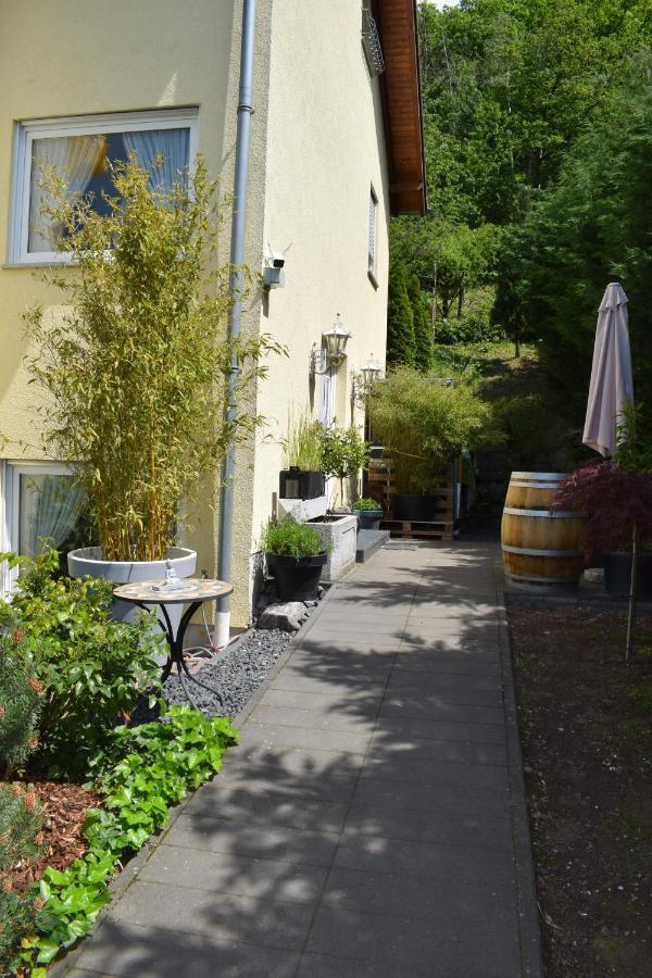 Ferienwohnung Ahrtalblick زينتسيغ المظهر الخارجي الصورة